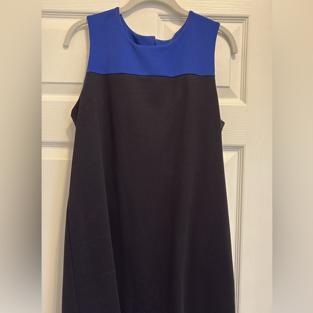 Black and Blue Dress